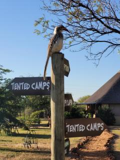 Thorn Tree Bush Camp - Klipdrift - 7