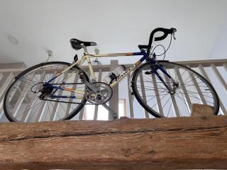 Bike Shed 1-Bed Cottage Sleeps 2 Pet Friendly - Shorwell - 1