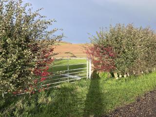 Bike Shed 1-Bed Cottage Sleeps 2 Pet Friendly - 1