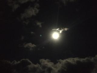 Noclegi Żurawin - Lutowiska - 5