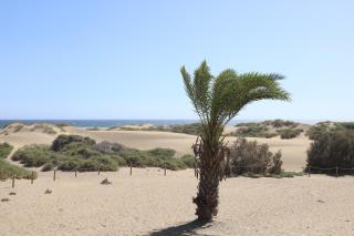Confortevole appartamento playa del ingles - Playa del Inglés - 9