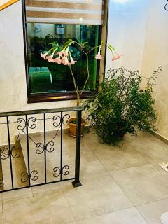 Hotel Elite House - Mestia - 4