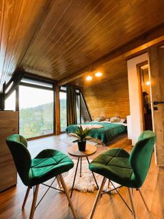 Munir Chalet - Câmpulung Moldovenesc - 5