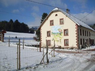 Les Hirondelles - Orbey - 5