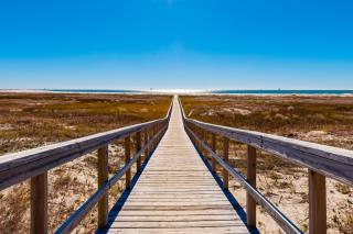 Dauphin Island Beach Club 106 - Dauphin Island - 7