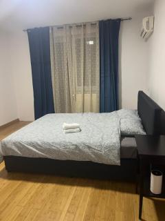VILLA CAISULUI Dobroesti - Bucharest - 5