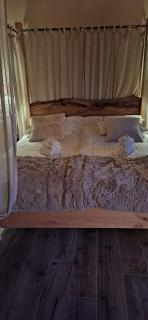 Agriturismo La Pina - 5