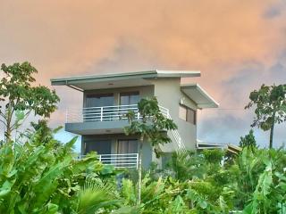 The Fruit Tree Garden Bromeliad Suite - Nuevo Arenal - 3