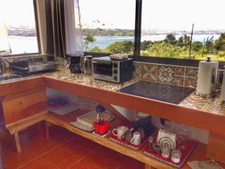 The Fruit Tree Garden Bromeliad Suite - Nuevo Arenal - 2
