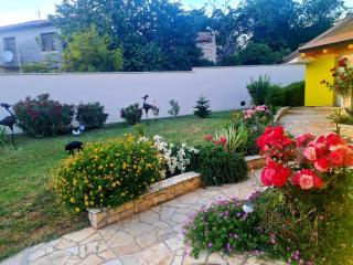 Apartman Boro - 6