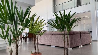 Hospedaria Colinas - Indaiatuba - 3