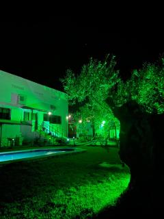 Casa Rural El Miajon Apartamentos - El Campo - 1