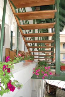 Casa Olanescu - Băile Olăneşti - 1