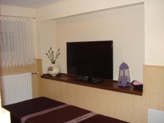 Pokoje Gościnne IRGA Apartamenty - Starogard Gdański - 5
