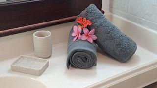 Les Frangipaniers - 1