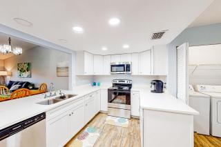 Peaceful Pinecone - 1