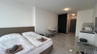 Air conditioned 1 room Apartment Vienna Gate, 2 - Bratislava - 4