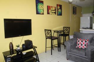 Elegant & Stylish 2BR New Kingston - 4