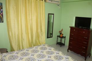 Elegant & Stylish 2BR New Kingston - 9