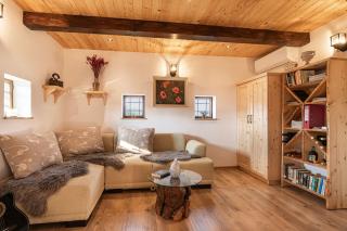 Vineyard Cottage Grajska Kašča - Happy Rentals - 6