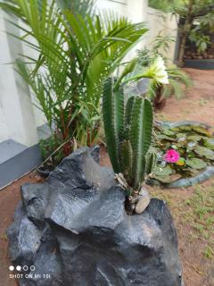 Vyshnavi home stay - Thanniyam - 2
