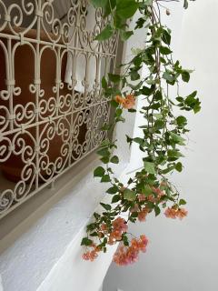 Private house Riad Arlette exclusive - Marrakesh - 8