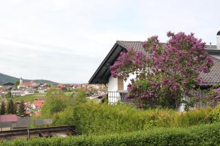 Villa Relax - Ferienwohnungen & Hallenbad & Relaxgarten - Bodenmais - 4