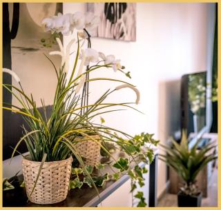 Appartement T3 I Cozy I Douvaine - Douvaine - 2