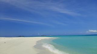 Night Star Dhangethi - 9