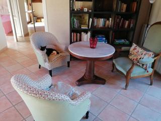 Maison au calme entre vignes et Luberon - Saint-Martin-de-la-Brasque - 5