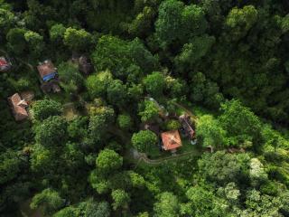 Mahout Resort Wayanad - An Experiential Jungle Stay with Waterfall - Kalpetta - 0