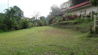 ทรัพย์ทอง การ์เด้น รีสอร์ท - Khao Kho - 5