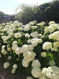 Le Pressoir de Cour la Ville - 6