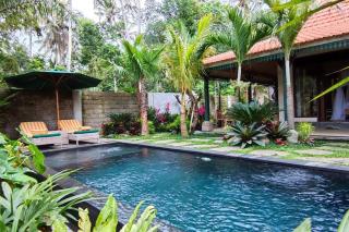 Cozy Jungle View 1-Bedroom Villa with Private Pool - Ubud - 1