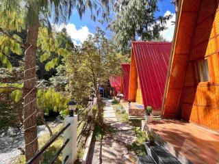 Oakley Groves Encamp - Shergaon - 0
