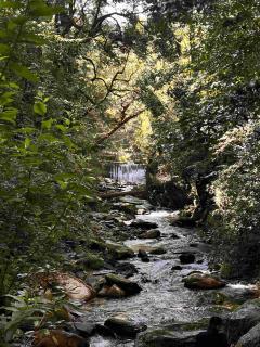 Oakley Groves Encamp - Shergaon - 4