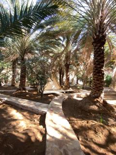 Husaak AlUla Adventure Camp - 9