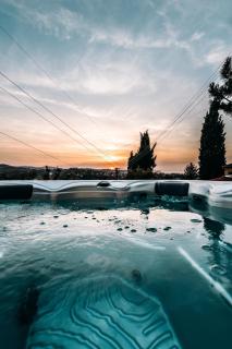 The Cypress Villa & Vineyard II - Sremska Kamenica - 6