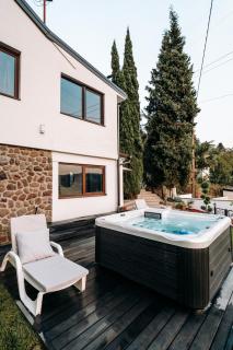 The Cypress Villa & Vineyard II - Sremska Kamenica - 8