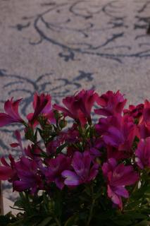 Hotel Ellique - Rhodos-stad - 4