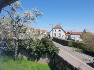 Gite 4 pers. - 2 chambres entre Colmar/Mulhouse - Wattwiller - 9
