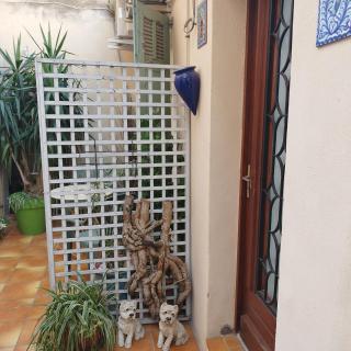 Duplex Denim - Nimes - 1