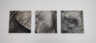 Am Boulevard - 3