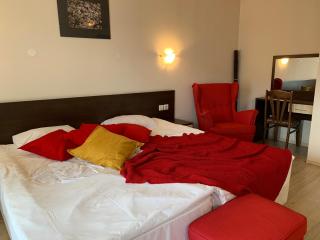 Banderitsa Apartment in Bansko with queen size bed and kitchen - Bansko - 1