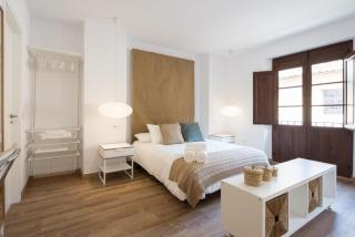 Santiago Premium Loft II - Málaga - 8