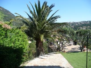Liyaroyce - Cavalaire-sur-Mer - 8