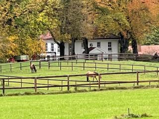 Herrenhaus - Starnberger See - Ammerland - Münsing - 9