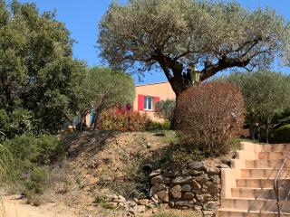 Les Oliviers - Grimaud - 6