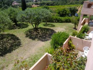 Les Oliviers - Grimaud - 7