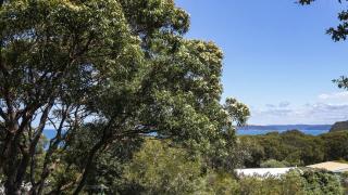 Anthonys Treehouse by the Beach - Killcare - 8